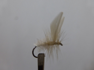 Size 12 White Moth Barbless